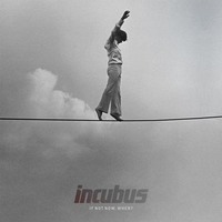 インキュバスのマイク・アインジガー、アヴィーチーとの楽曲制作を語る - インキュバス 2011年作『イフ・ノット・ナウ，ウェン？』