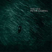ピーター・ガブリエル、オリバー・ストーン最新作『スノーデン』のために書き下ろした新曲“The Veil”の音源公開
