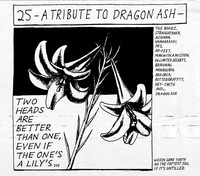 Dragon Ash 25 - A Tribute To Dragon Ash -